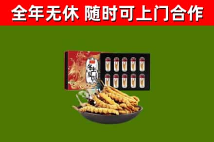 湖滨回收冬虫夏草价格